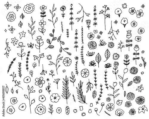手書きの草木イラストバラバラのモノクロベクター Set Of Hand Drawn Illustration Vector Outline Isolated Stock Vector Adobe Stock 手書きの草木イラストバラバラのモノクロベクター Set Of Hand Drawn Illustration Vector Outline Isolated Stock Vector Adobe Stock