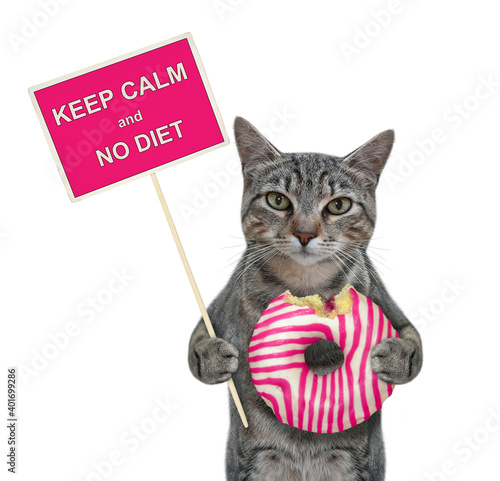 A gray cat is holding a pink striped donut and a fun prohibition sign. Keep calm and no diet. White background. Isolated.