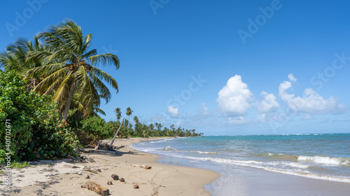 Beach, Rio Grande Puerto Rico photo