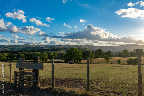 Farm in the summer, landscape