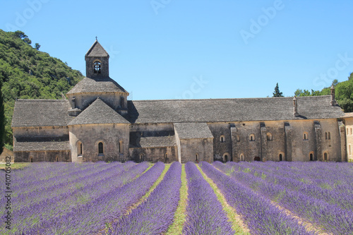 The famous Abbey of Senanque and its lavender field, Luberon, Vaucluse, France 