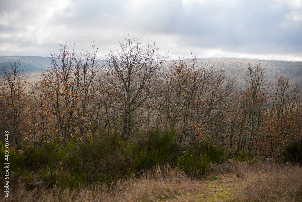 Scenes from the Camino de Santiago as it passes through Montes de Oca, province of Burgos, Spain