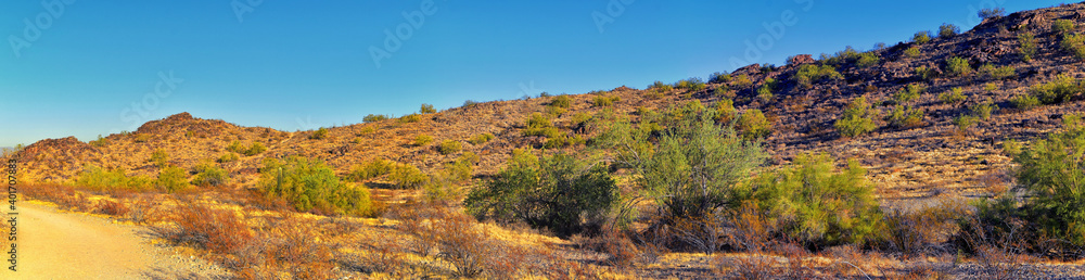 South Mountain Park and Preserve, Pima Canyon Hiking Trail, Phoenix, Southern Arizona desert. United States. South Mountain Park and Preserve, Pima Canyon Hiking Trail, Phoenix, Southern Arizona desert. United States.