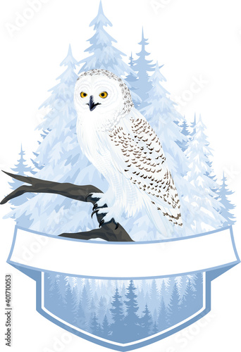 vector woodland emblem with arctic snowy owl 