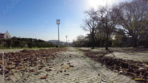 Fall in the park pathway lisbon portugal