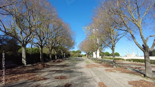 Park Pathway fall foliage trees