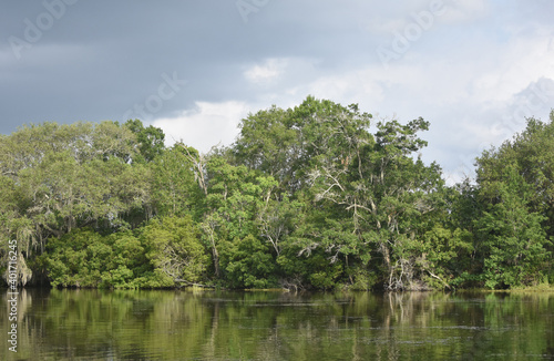 Scenic Look at the Louisiana Bayou in New Orleans photo