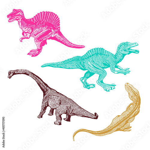 Graphical set dinosaurus isolated on white background  vector