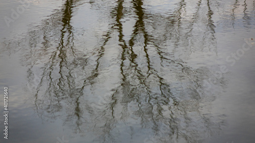 reflection of trees in water