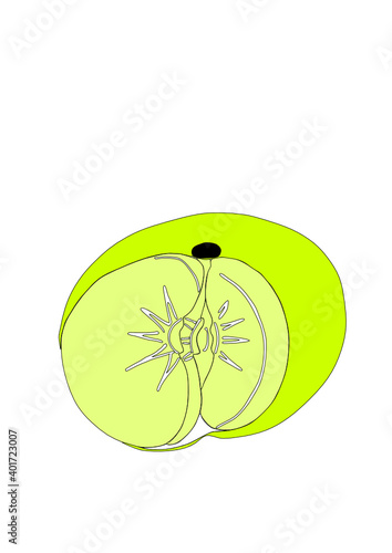 Dibujo de cítrico de temporada decembrina