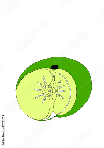 Dibujo de cítrico de temporada decembrina