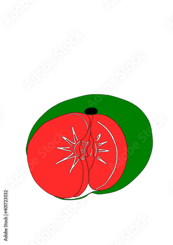 Dibujo de cítrico de temporada decembrina