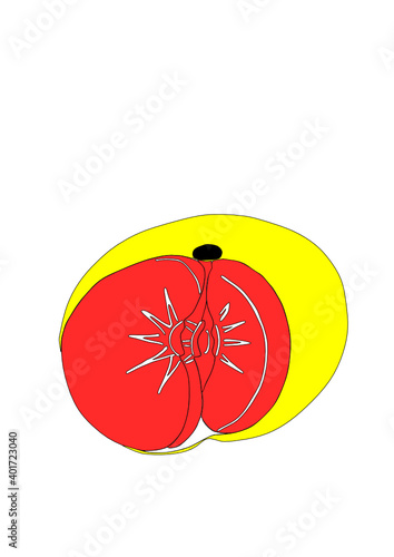 Dibujo de cítrico de temporada decembrina