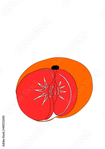 Dibujo de cítrico de temporada decembrina