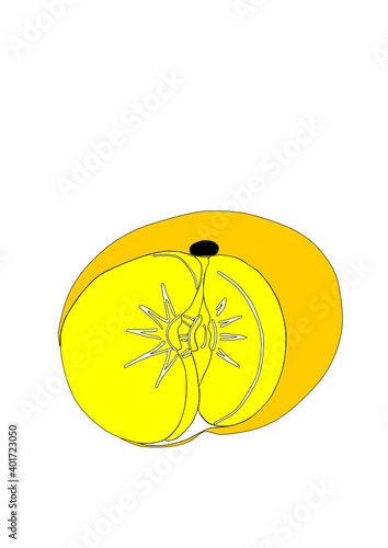 Dibujo de cítrico de temporada decembrina