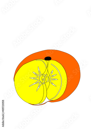 Dibujo de cítrico de temporada decembrina