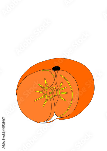 Dibujo de cítrico de temporada decembrina