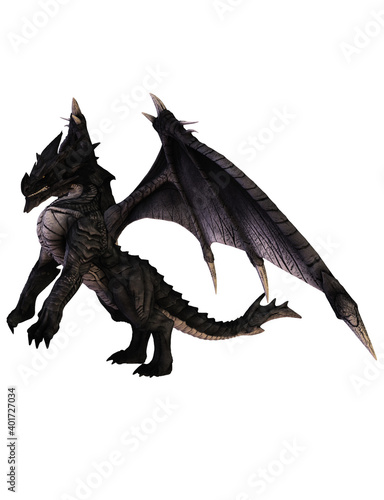 black dragon wyvern