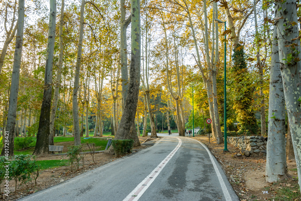Obraz premium Golden forest in autumn in Sa'dabad palace Complex, built by the Qajar and Pahlavi monarchs, located in Shemiran, Greater Tehran, Iran