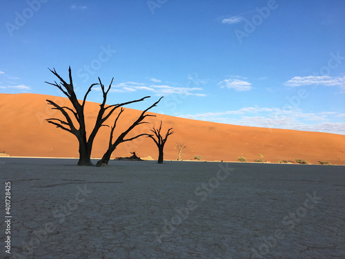 Unique desert landscape in Sossusvlei, Namibia © Kasia