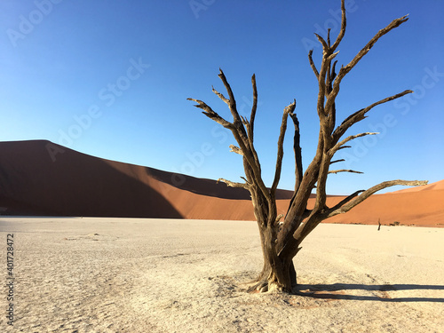 Unique desert landscape in Sossusvlei  Namibia