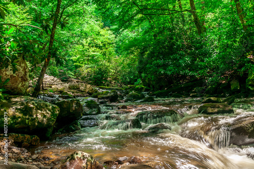 A closeup shot of a river with cascades in a forest photo