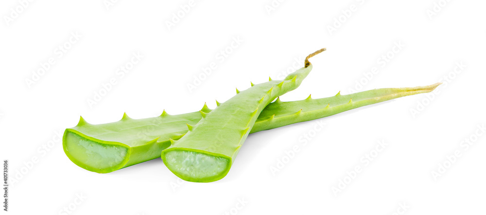 Obraz premium Aloe vera slice isolated on white background.