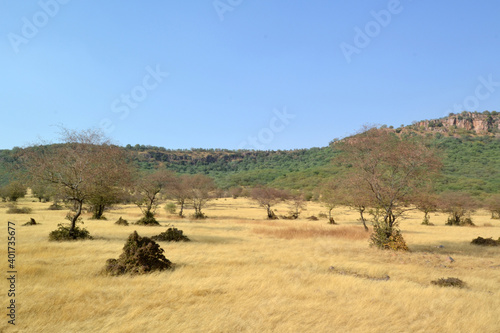 India, rohtambor nature reserve, landscape
