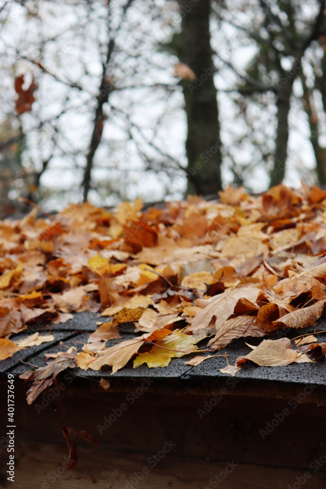 Close-up of many yellow leaves on a Hut roof in the forest Close-up of many yellow leaves on a Hut roof in the forest