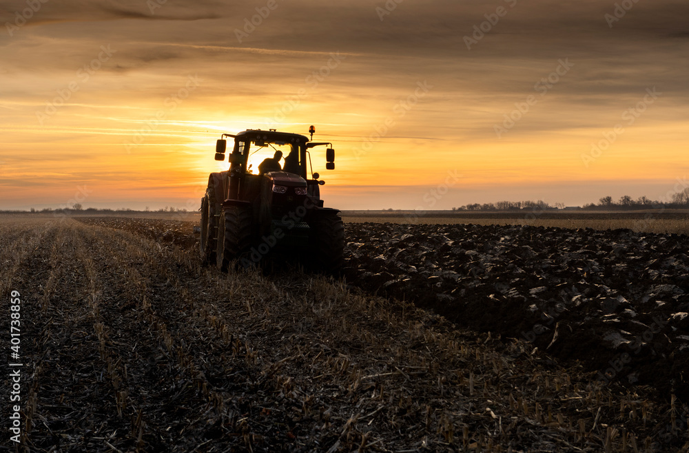 Fototapeta premium Tractor on the field during sunset.