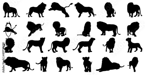 Quadro su tela A set of silhouettes of different lion breeds isolated on white background