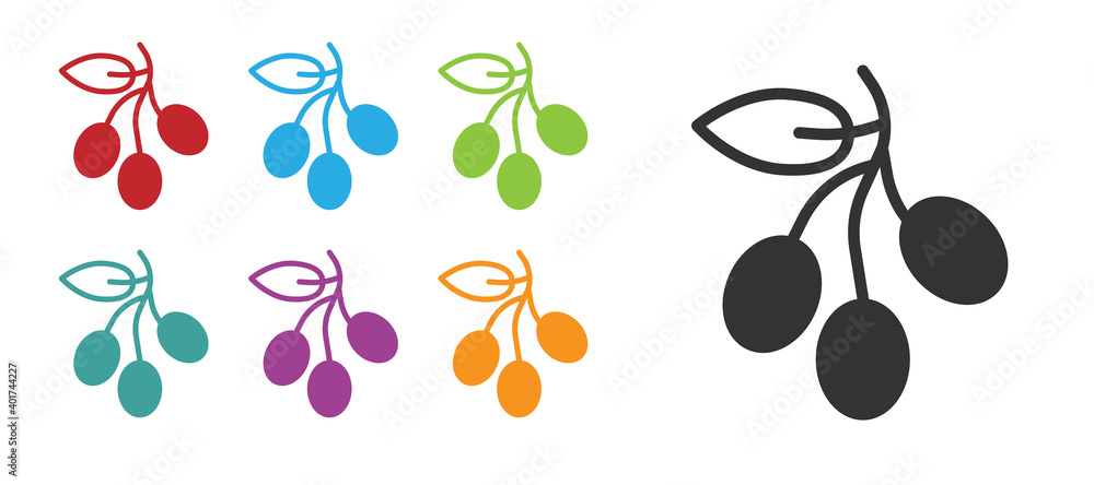 Fototapeta premium Black Olives branch icon isolated on white background. Set icons colorful. Vector.