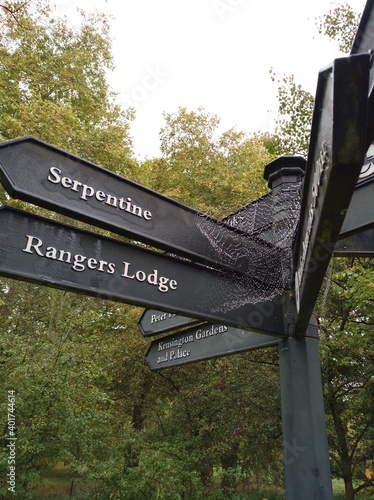 Marking sign (guide) in park with huge spider's web
Spider is not included