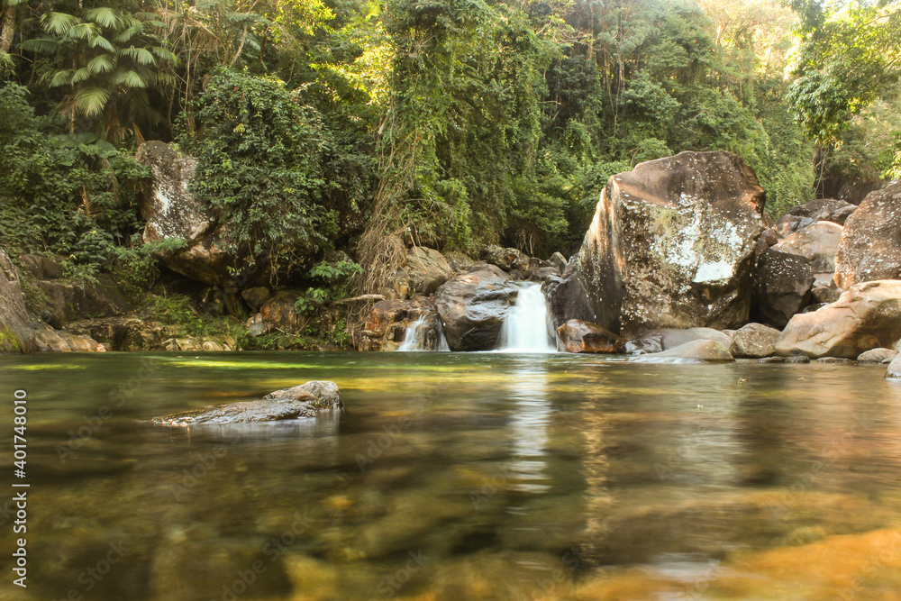 Fototapeta premium river in the forest