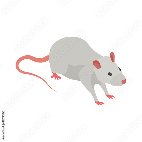 Medical Rat Illustration