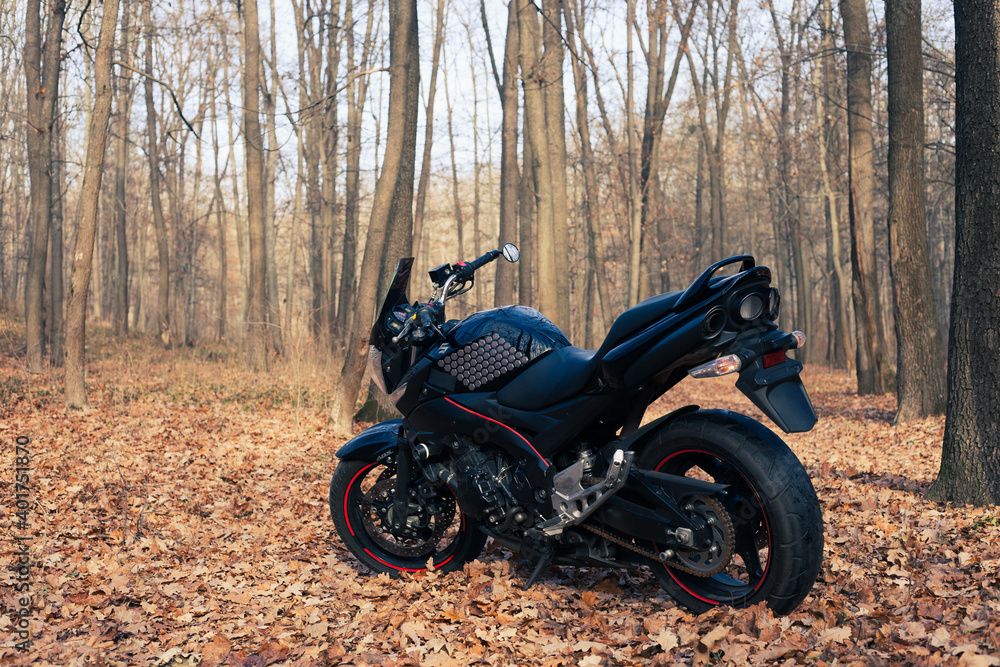 Black stylish sport motorcycle in autumn forest. Black stylish sport motorcycle in autumn forest.