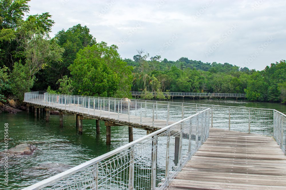the  boardwalk, rock beach and red mangrove in Chek Jawa wetland.
It is a cape and the name of its 100-hectare wetlands located on the south-eastern tip of Pulau Ubin island Singapore. 