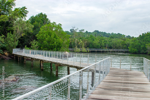 Photography the  boardwalk, rock beach and red mangrove in Chek Jawa wetland