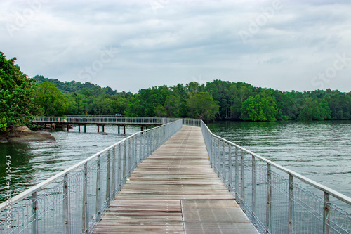 the  boardwalk  rock beach and red mangrove in Chek Jawa wetland. It is a cape and the name of its 100-hectare wetlands located on the south-eastern tip of Pulau Ubin island Singapore. 