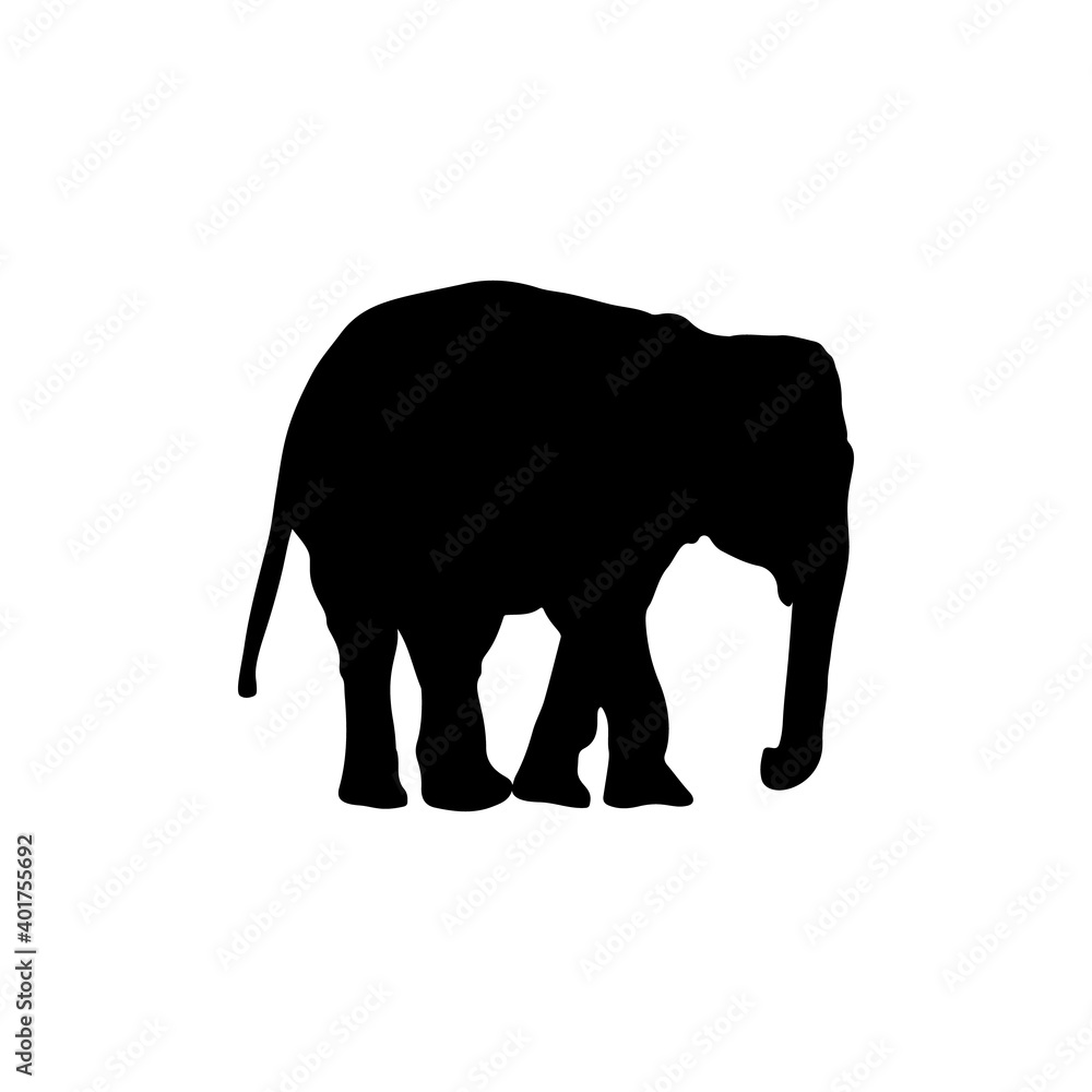 Fototapeta premium Elephant silhouettes black color on white background. Vector illustration.