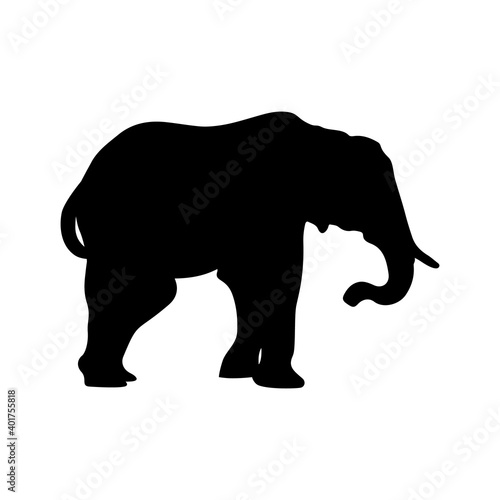 Elephant silhouettes black color on white background. Vector illustration.