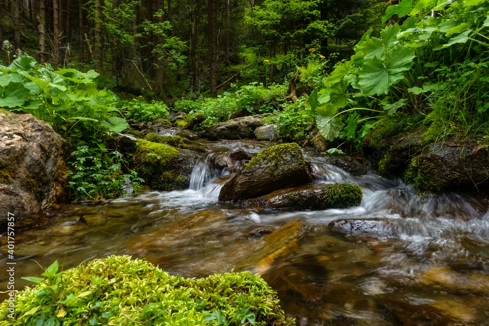 nice flowing brook with rocks in a green forest