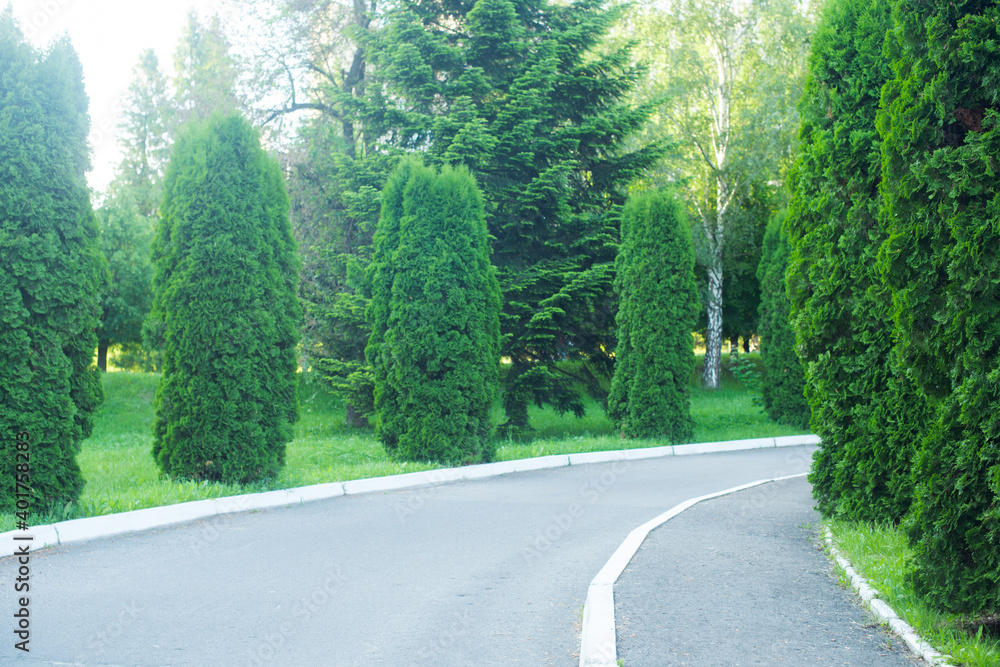 Obraz premium edges from the road. road in the park. travel through the park. a trip out of town