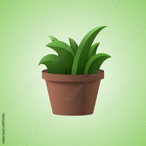 plant in pot