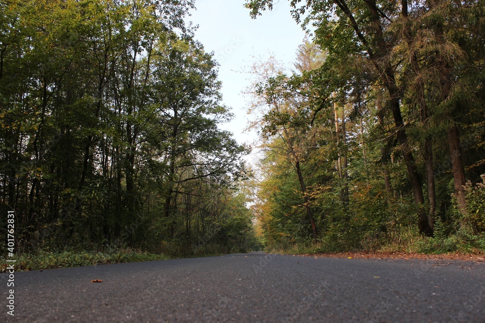 Obraz premium In der Natur