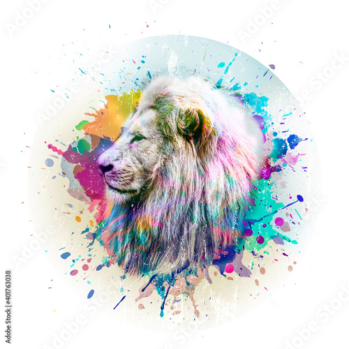 lion head in colorful paint splashes photo