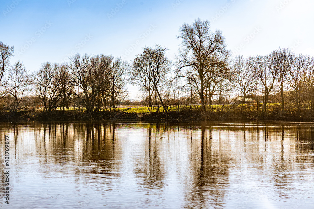 lake in the park