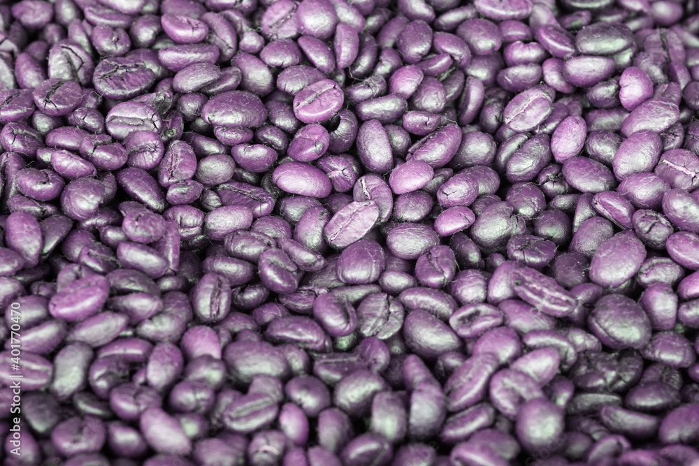Roasted purple coffee beans in a sack Roasted purple coffee beans in a sack