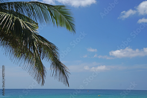 Nature scene of Coconut leaf branch  with andaman sea on Kata Karon beach summer season at  phuket thailand