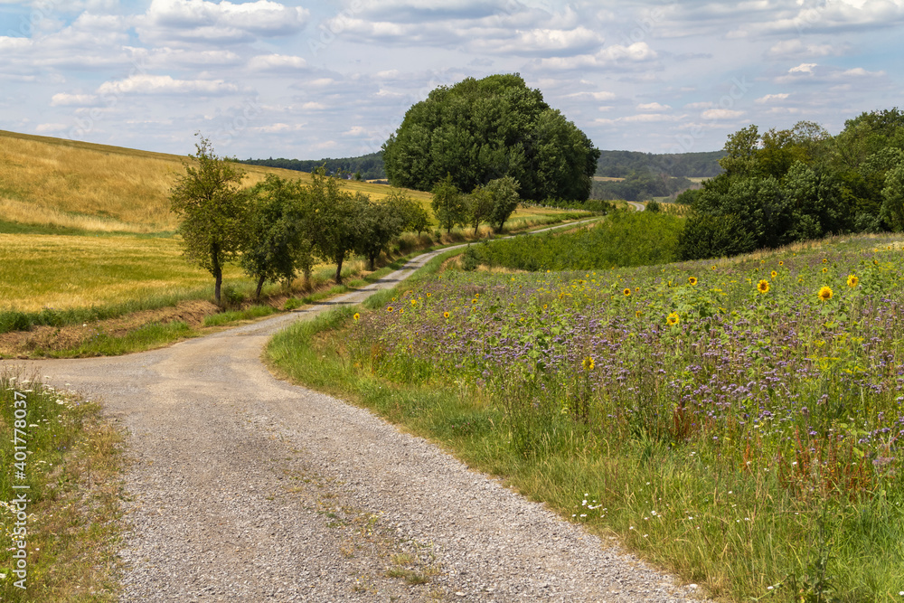 Obraz premium around Jagst Valley in Hohenlohe